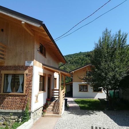Guest House Carpathia Vişeu de Sus Buitenkant foto