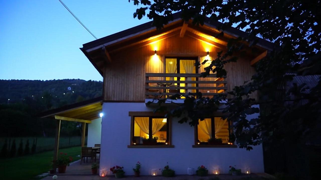 Guest House Carpathia Vişeu de Sus Buitenkant foto
