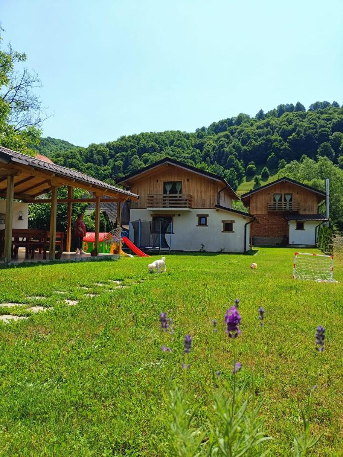 Guest House Carpathia Vişeu de Sus Buitenkant foto