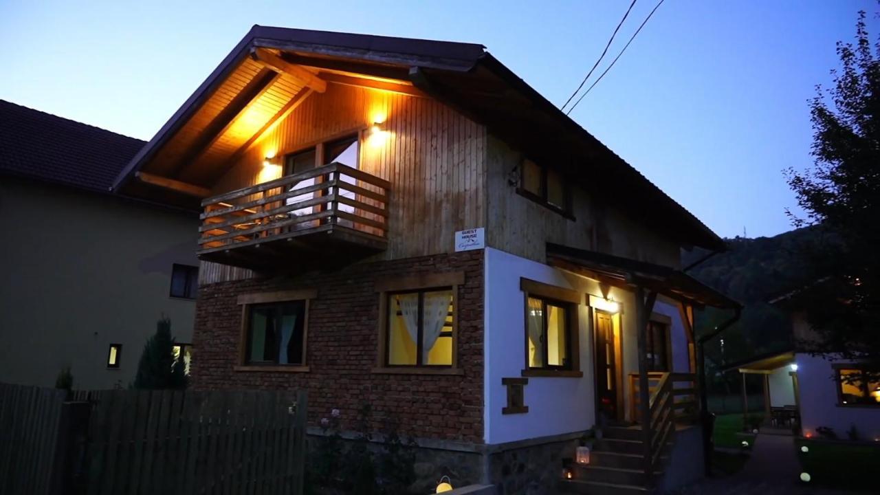 Guest House Carpathia Vişeu de Sus Buitenkant foto