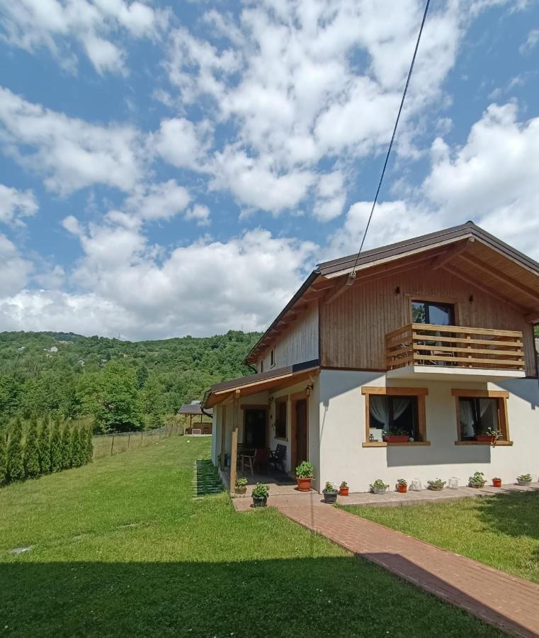Guest House Carpathia Vişeu de Sus Buitenkant foto