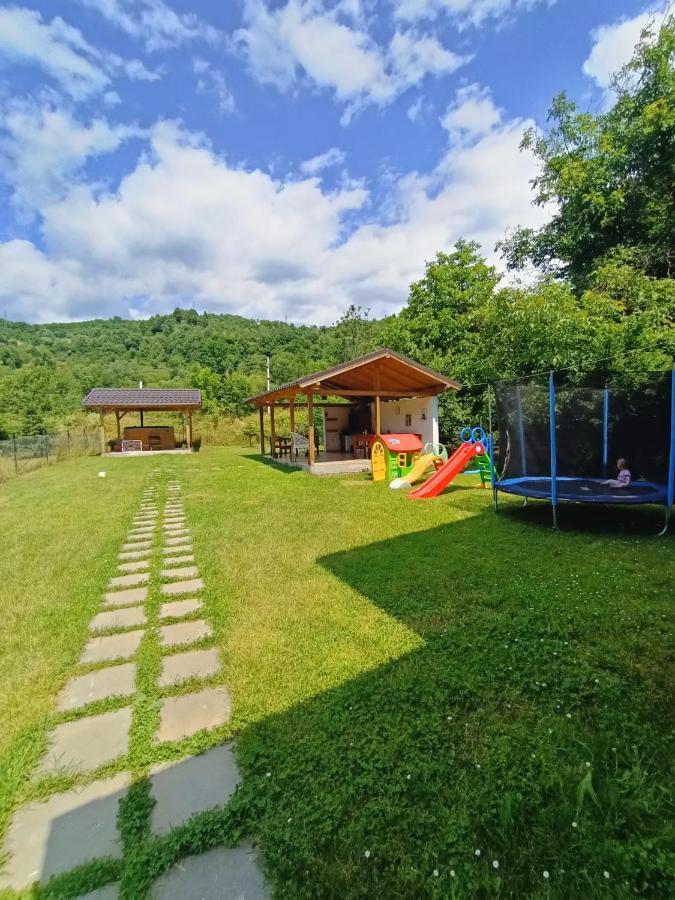Guest House Carpathia Vişeu de Sus Buitenkant foto