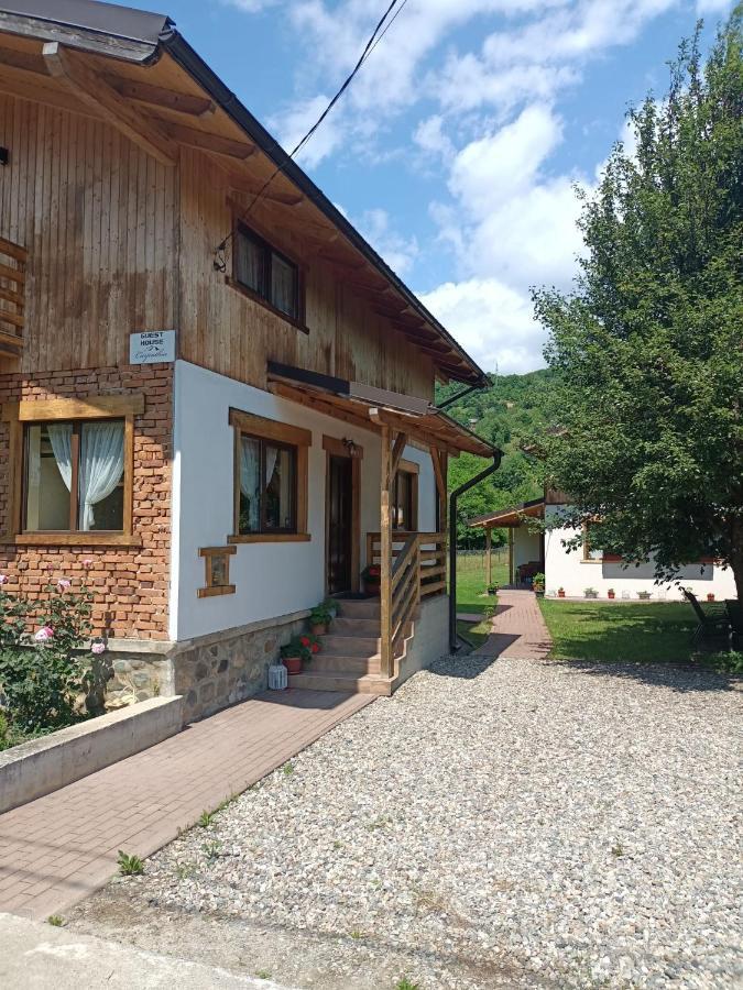 Guest House Carpathia Vişeu de Sus Buitenkant foto