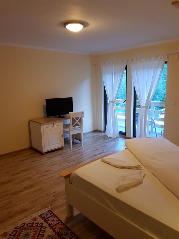 Guest House Carpathia Vişeu de Sus Buitenkant foto