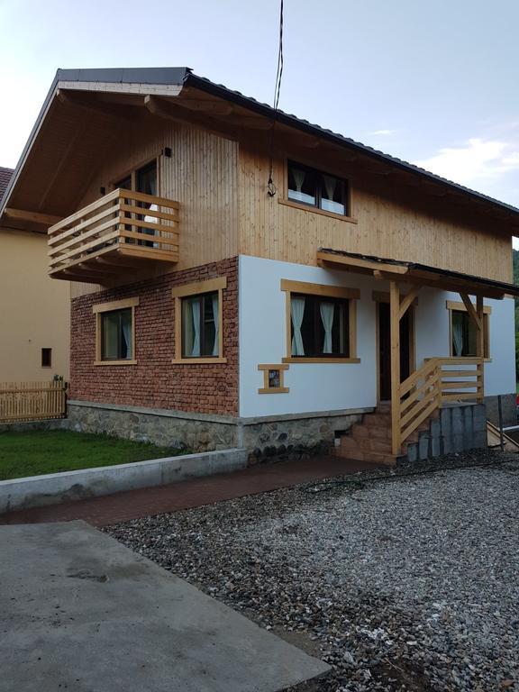 Guest House Carpathia Vişeu de Sus Buitenkant foto