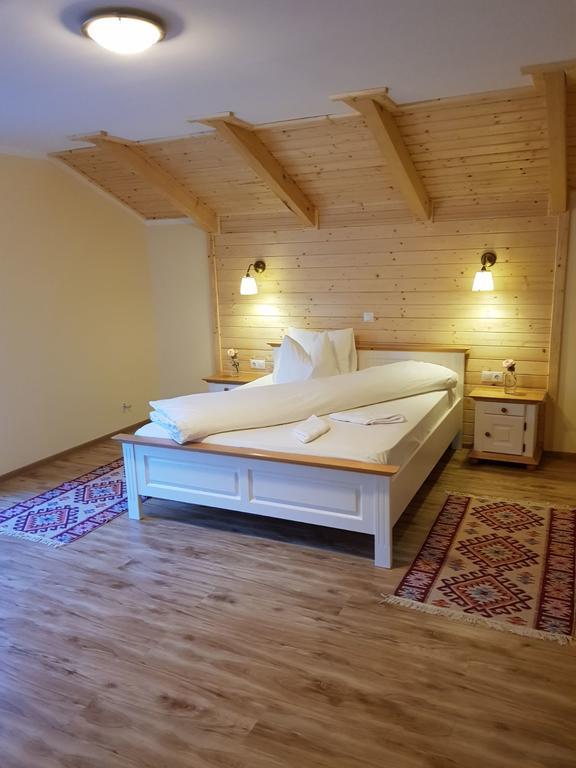 Guest House Carpathia Vişeu de Sus Buitenkant foto