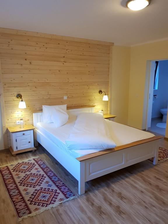 Guest House Carpathia Vişeu de Sus Buitenkant foto