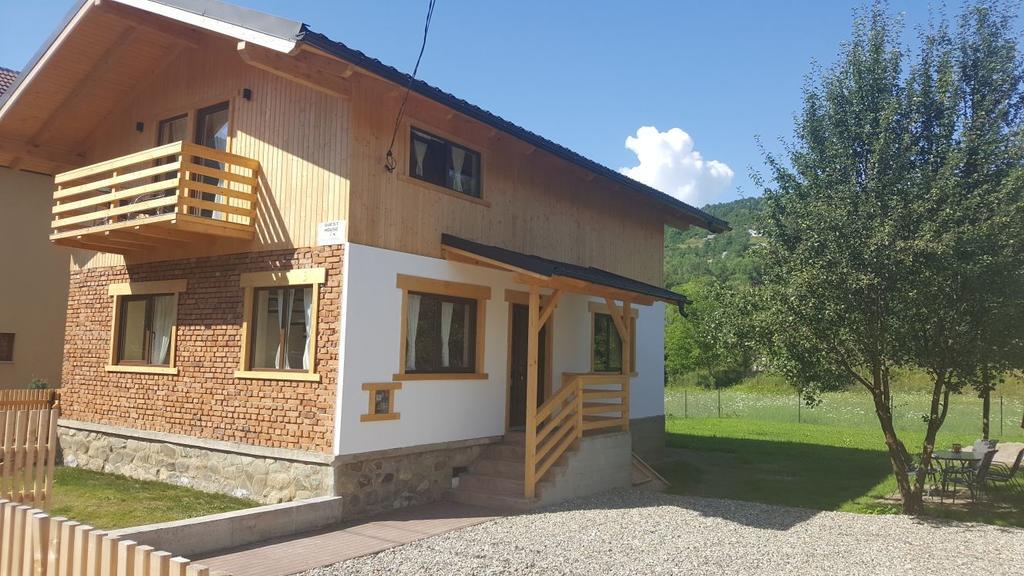 Guest House Carpathia Vişeu de Sus Buitenkant foto