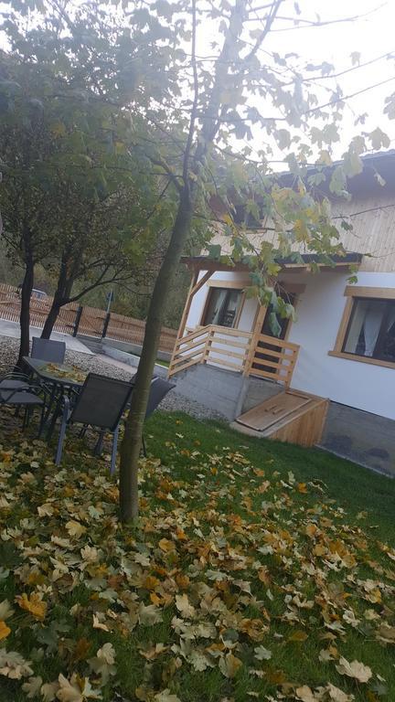 Guest House Carpathia Vişeu de Sus Buitenkant foto