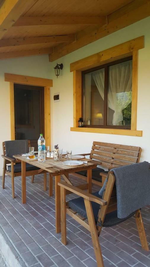 Guest House Carpathia Vişeu de Sus Buitenkant foto