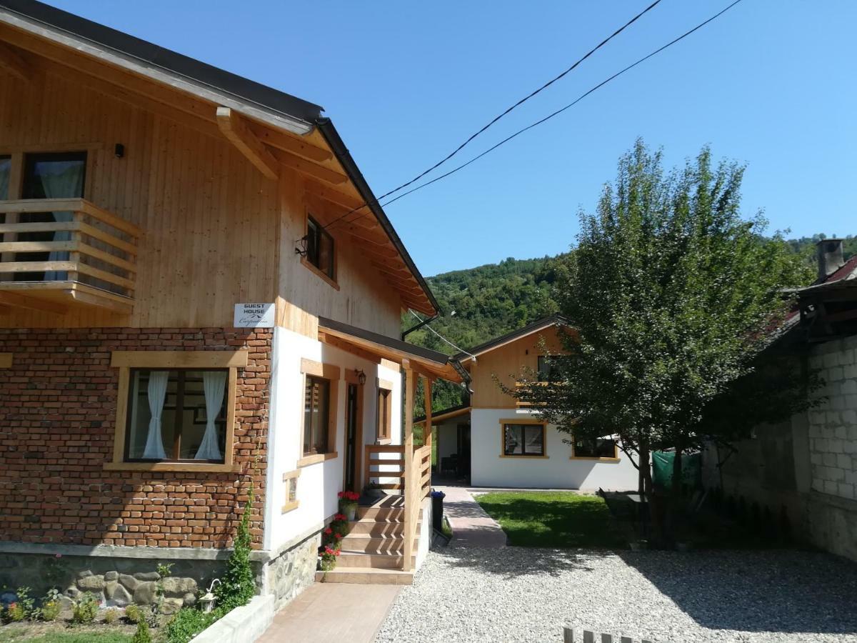Guest House Carpathia Vişeu de Sus Buitenkant foto
