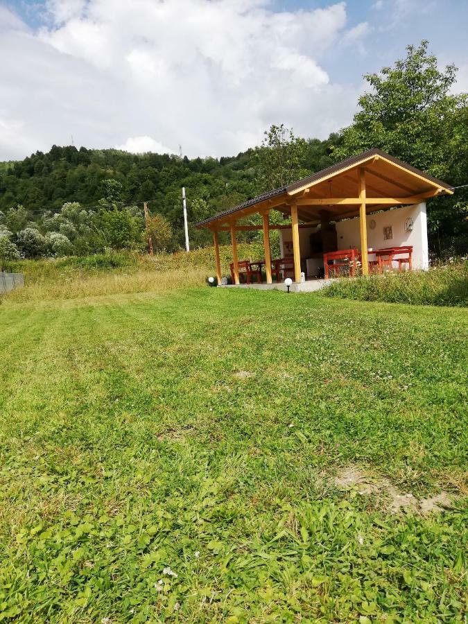 Guest House Carpathia Vişeu de Sus Buitenkant foto